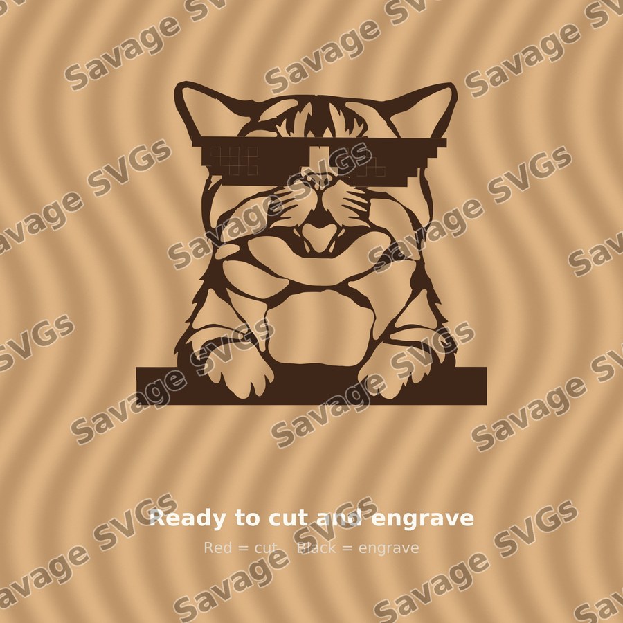 Cat 01