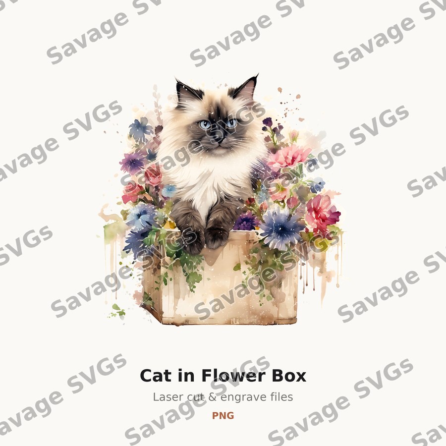 Cat in Flower Box