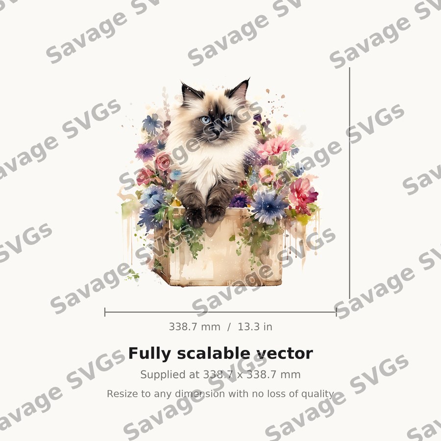 Cat in Flower Box