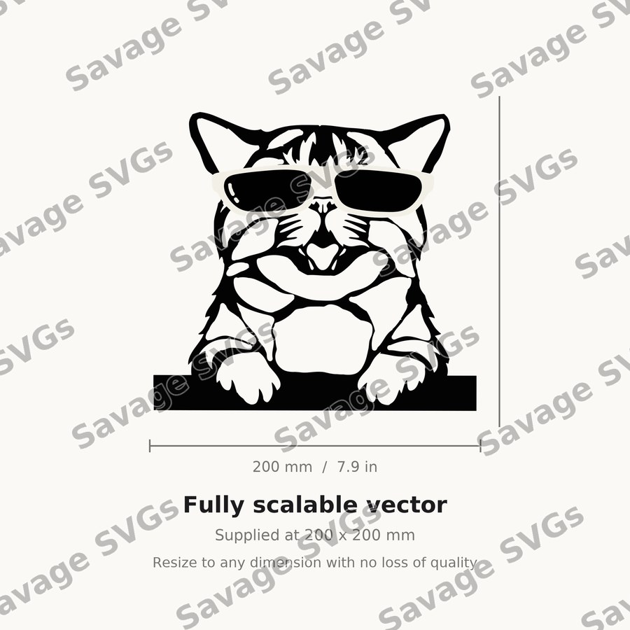 Cat2 01