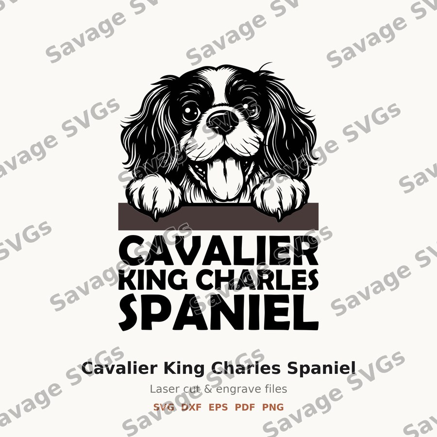 Cavalier King Charles Spaniel