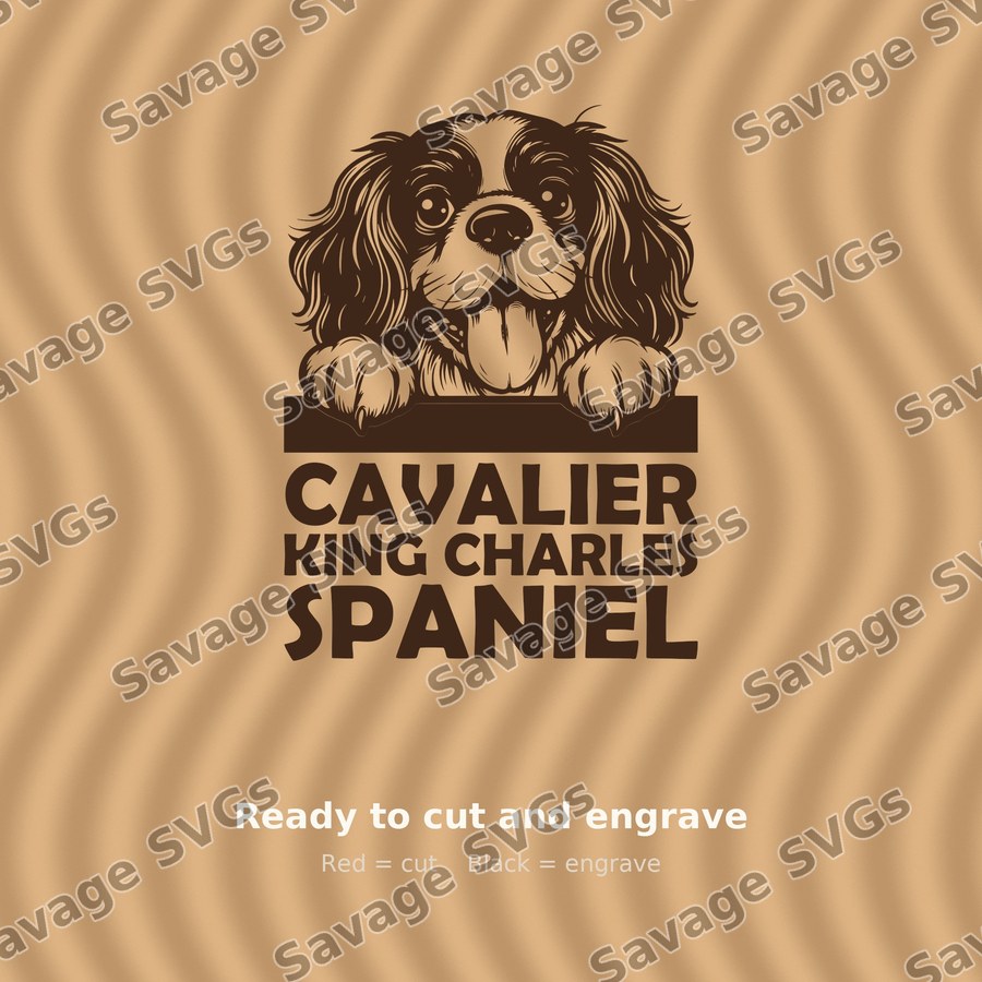 Cavalier King Charles Spaniel