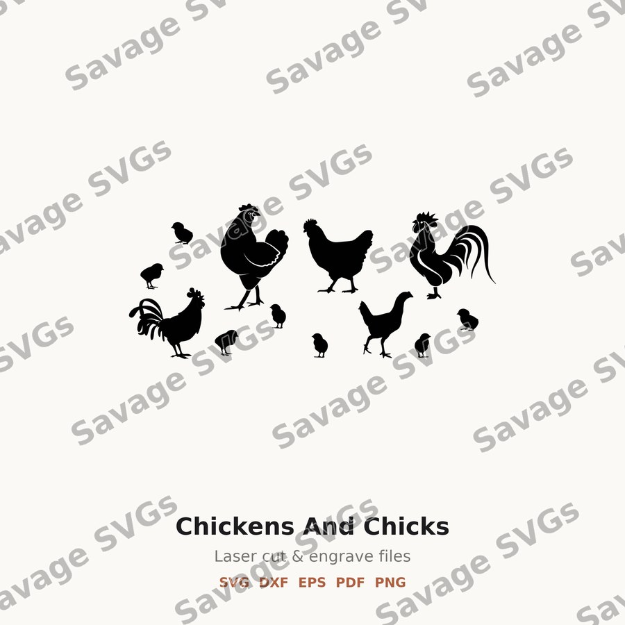 Chickens And Chicks