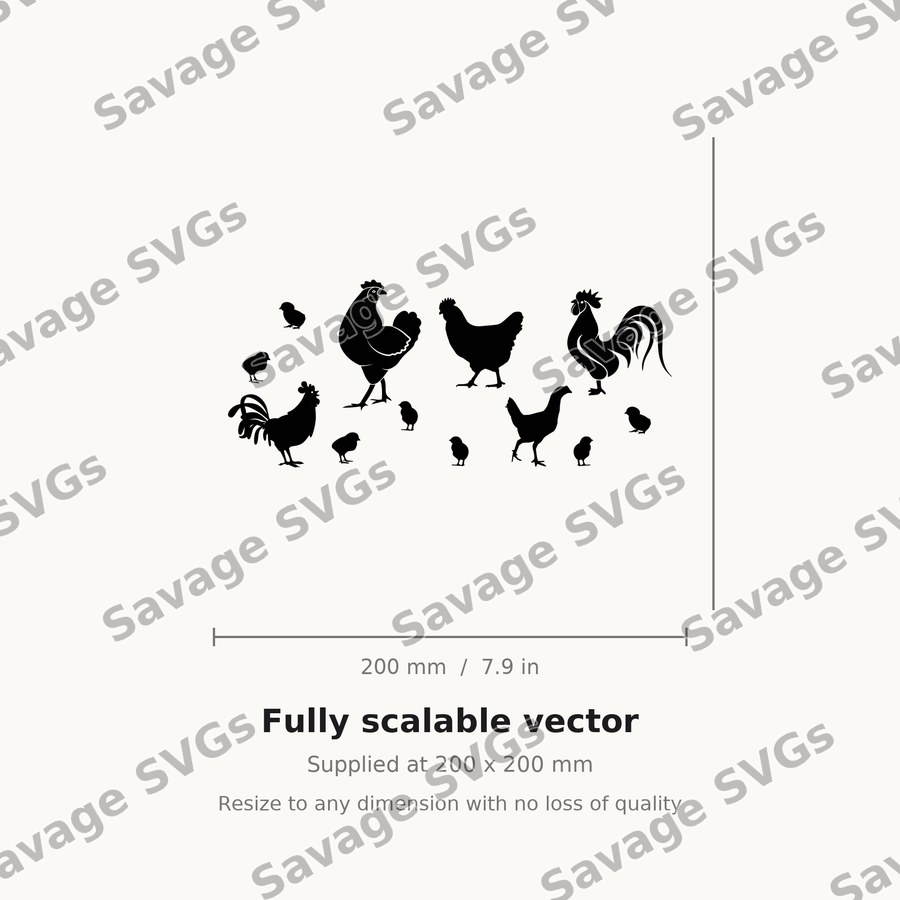 Chickens And Chicks