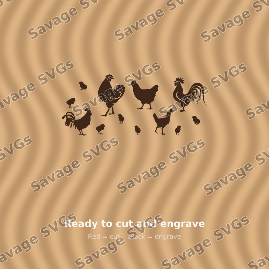 Chickens And Chicks