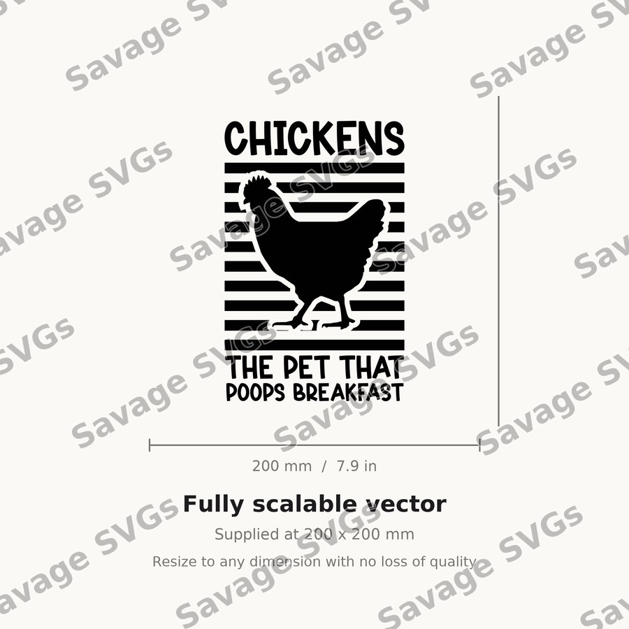 Chickens Poop Breakfast