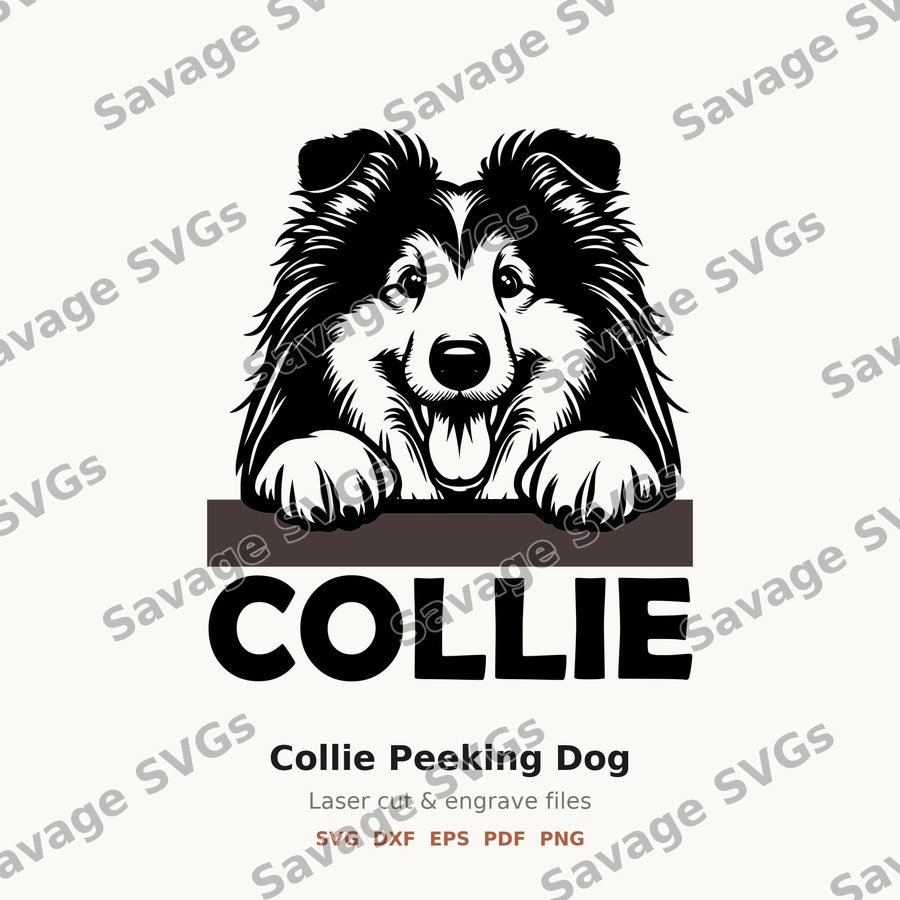 Collie Peeking Dog