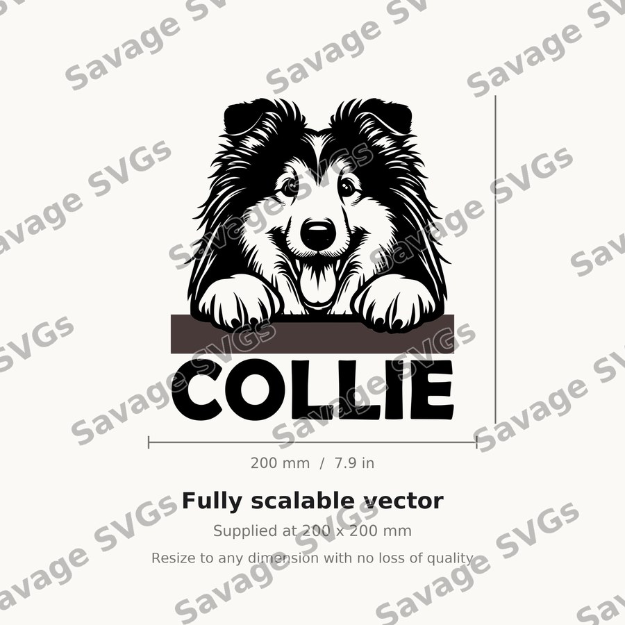 Collie Peeking Dog