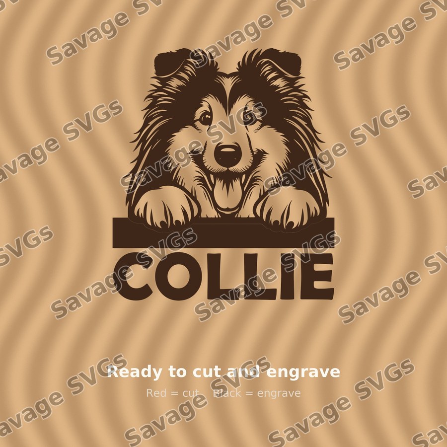 Collie Peeking Dog