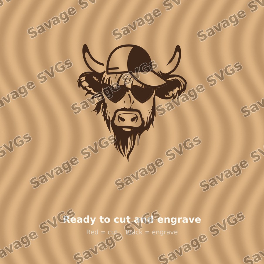 Cool Highland Cow