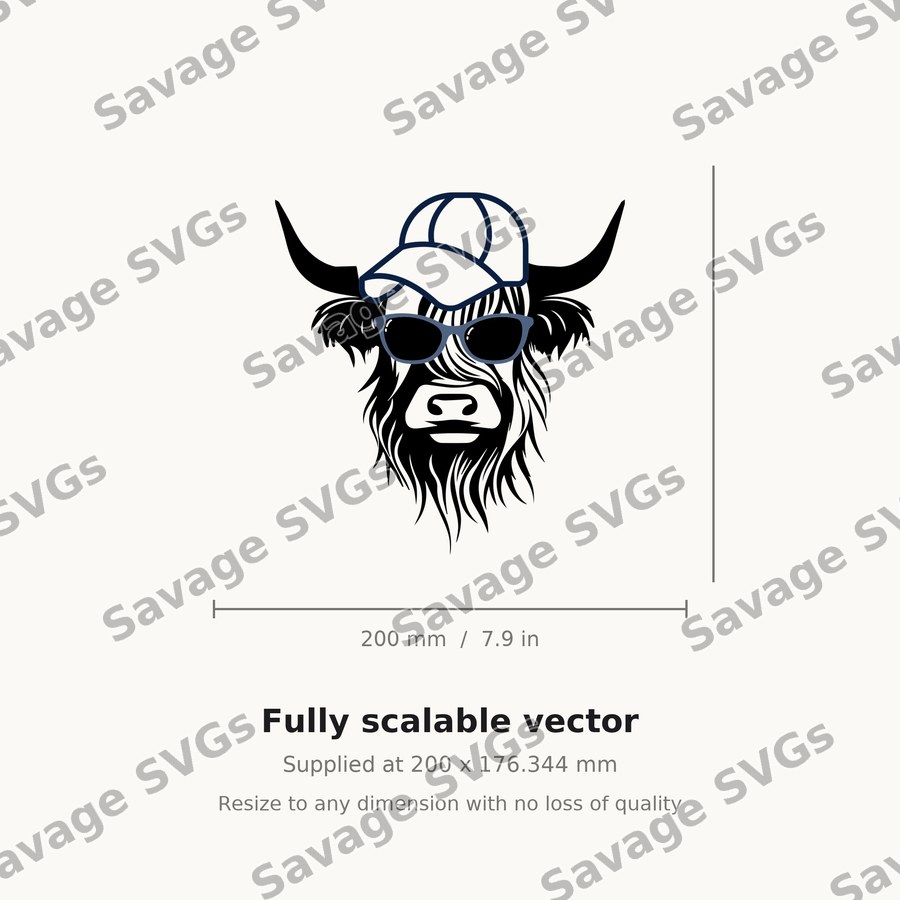 Cool Highland Cow