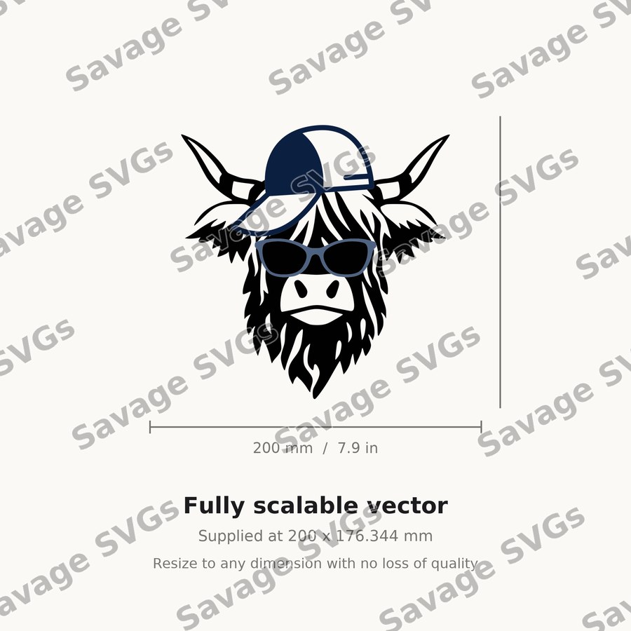 Cool Highland Cow