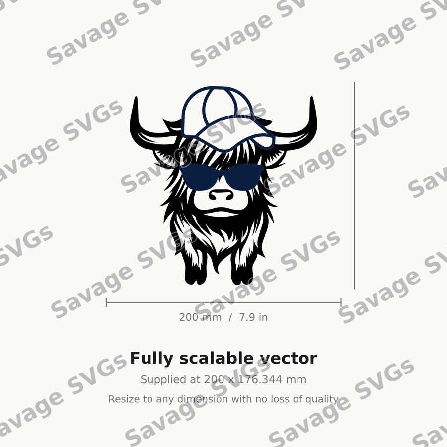 Cool Highland Cow