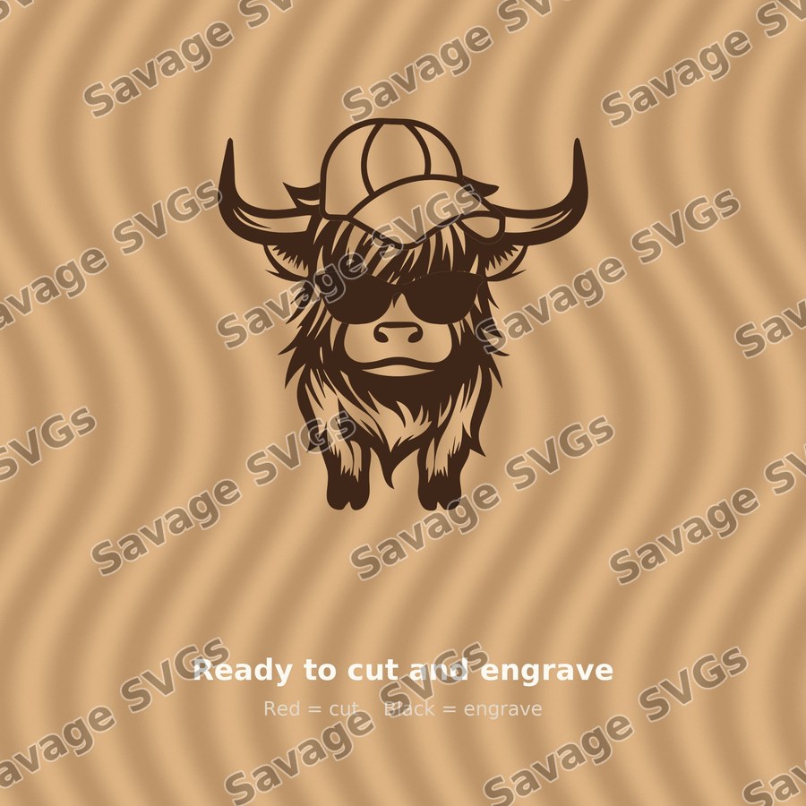 Cool Highland Cow