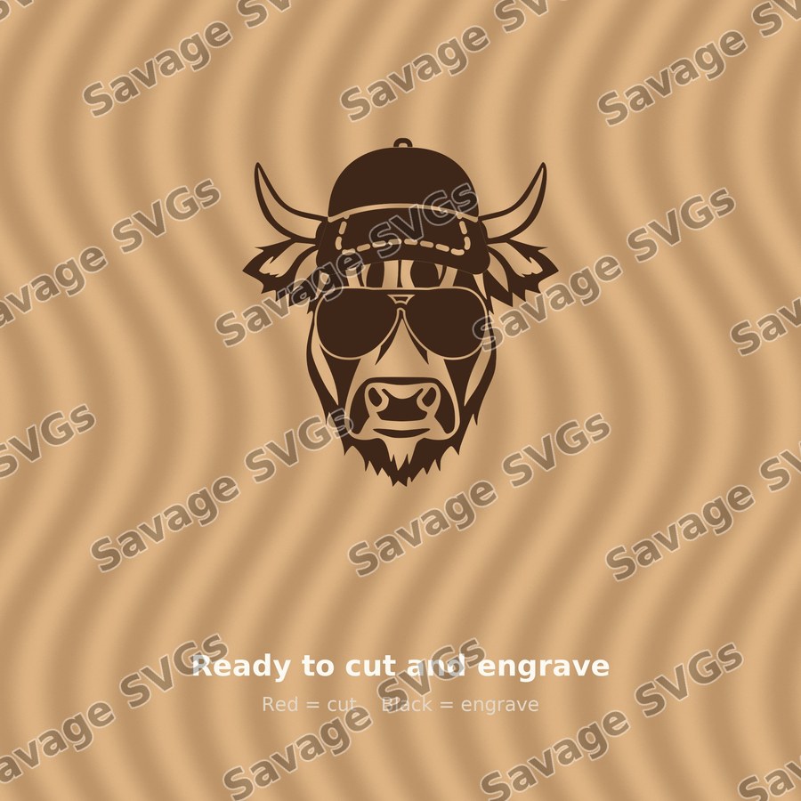 Cool Highland Cow