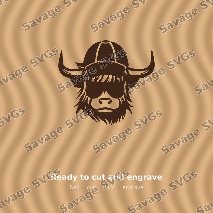 Cool Highland Cow