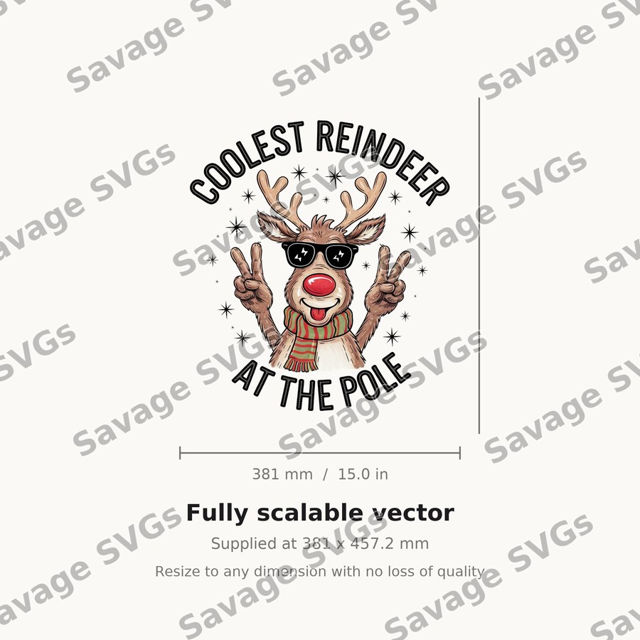 Coolest Reindeer At The Pole