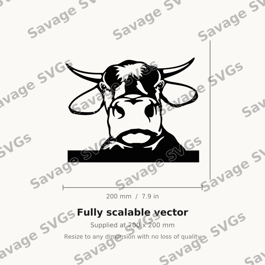Cow 01