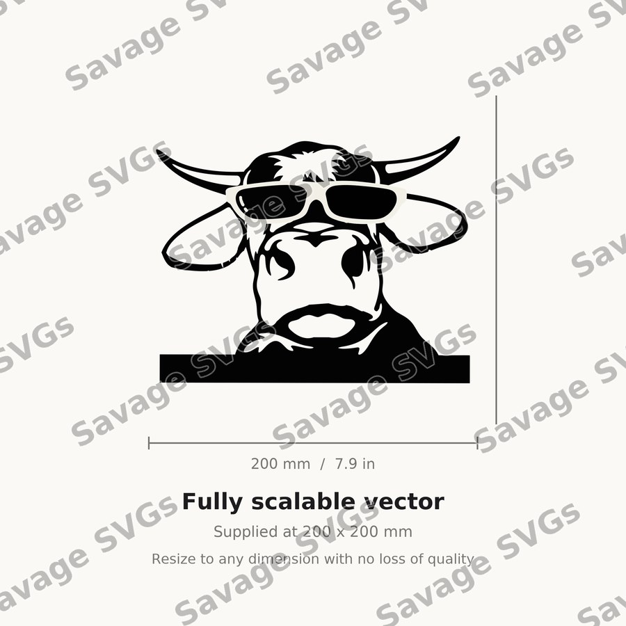 Cow 01