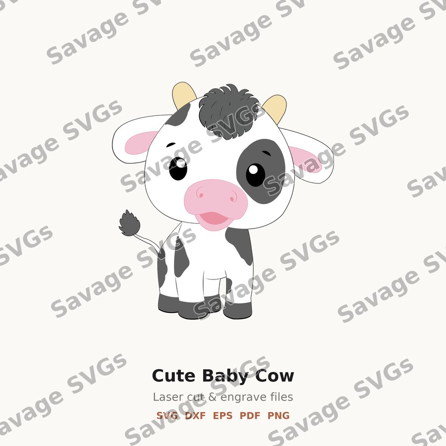 Cute Baby Cow