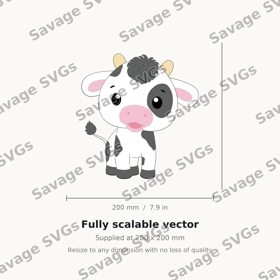 Cute Baby Cow