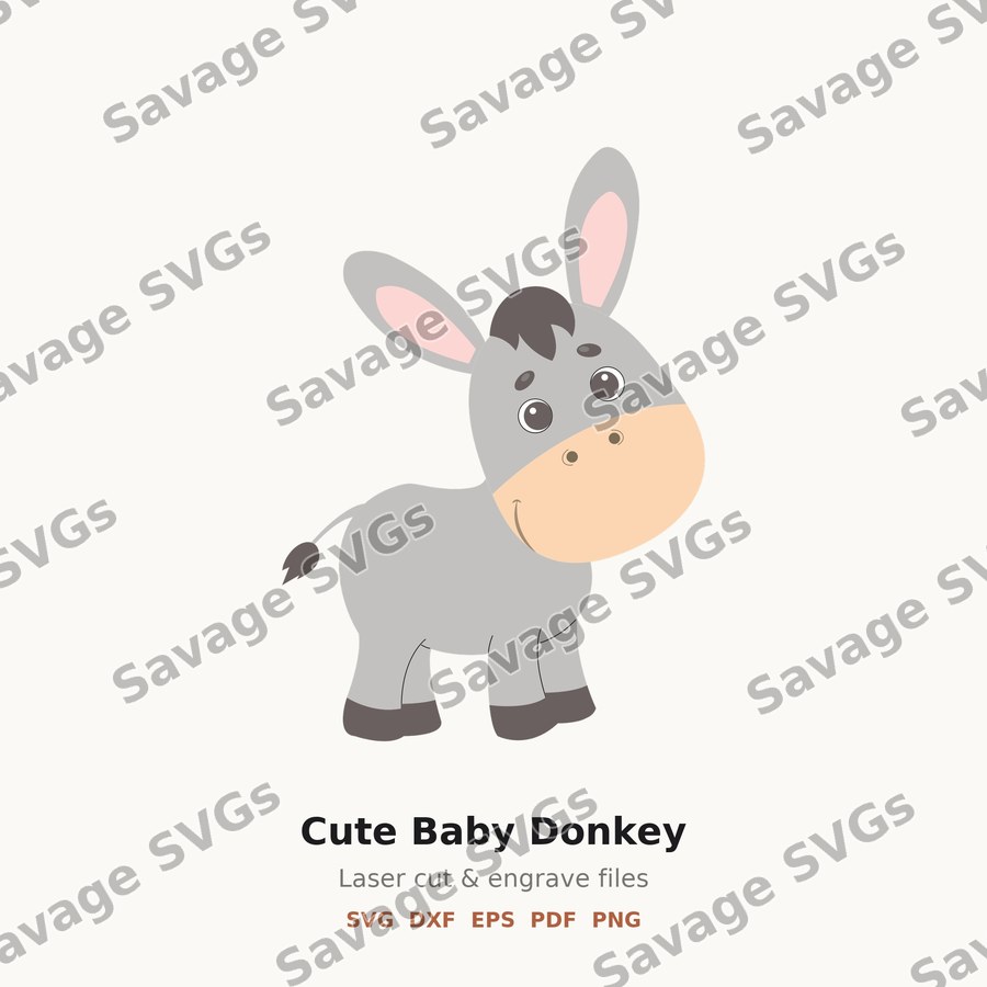 Cute Baby Donkey