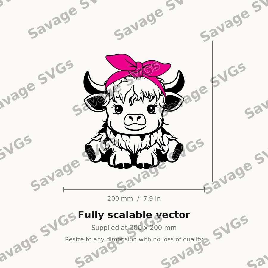 Cute Highland Cow