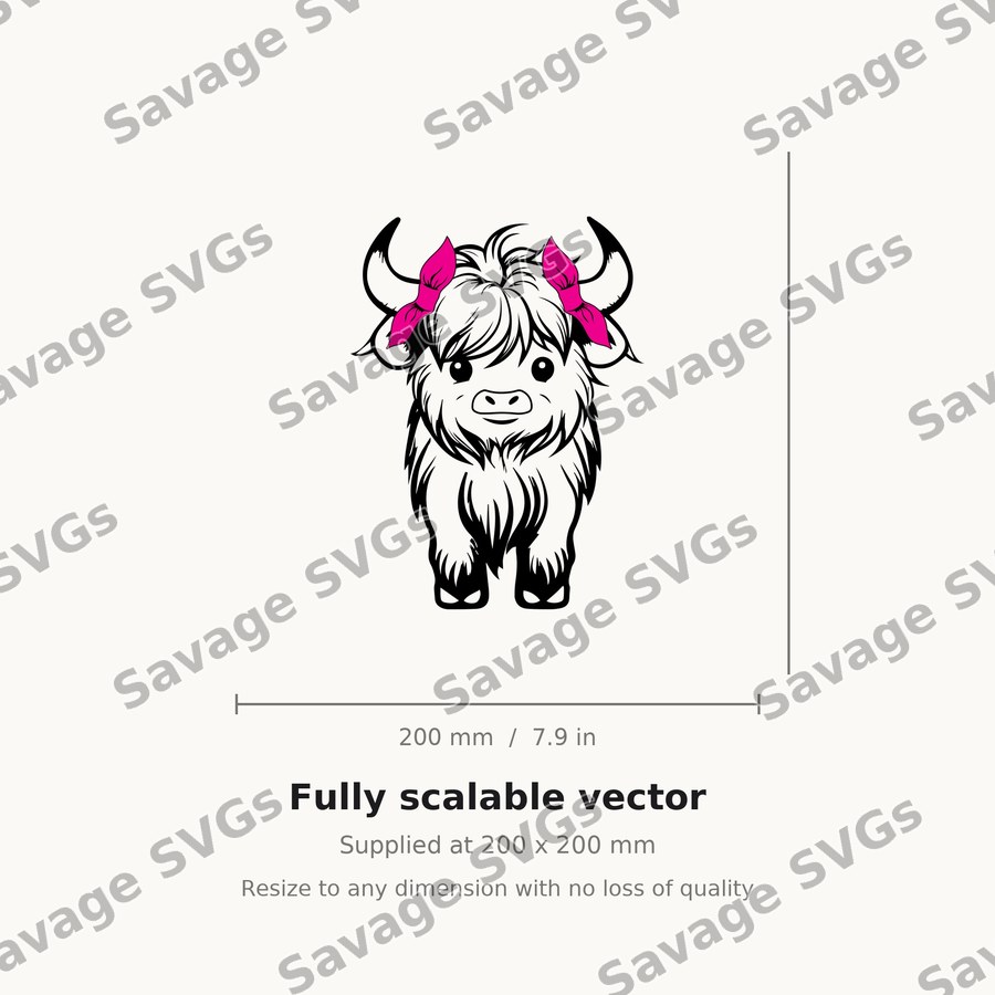 Cute Highland Cow
