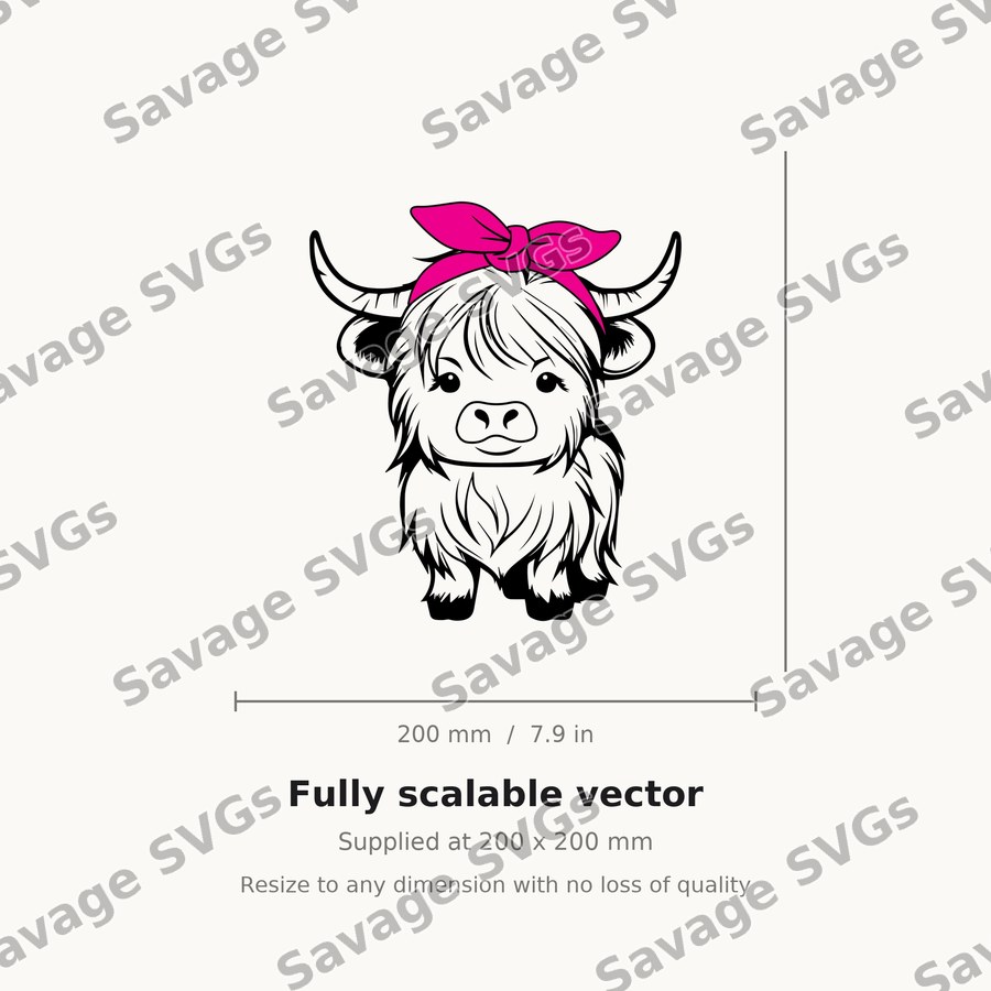 Cute Highland Cow