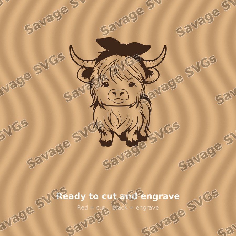 Cute Highland Cow