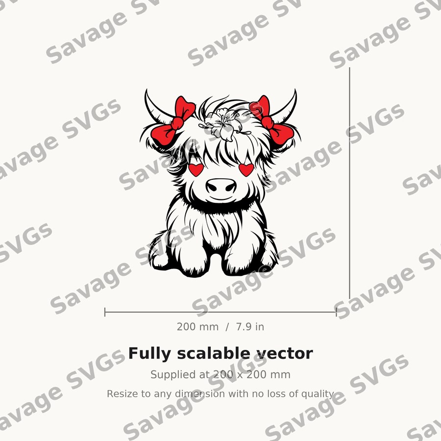 Cute Highland Cow