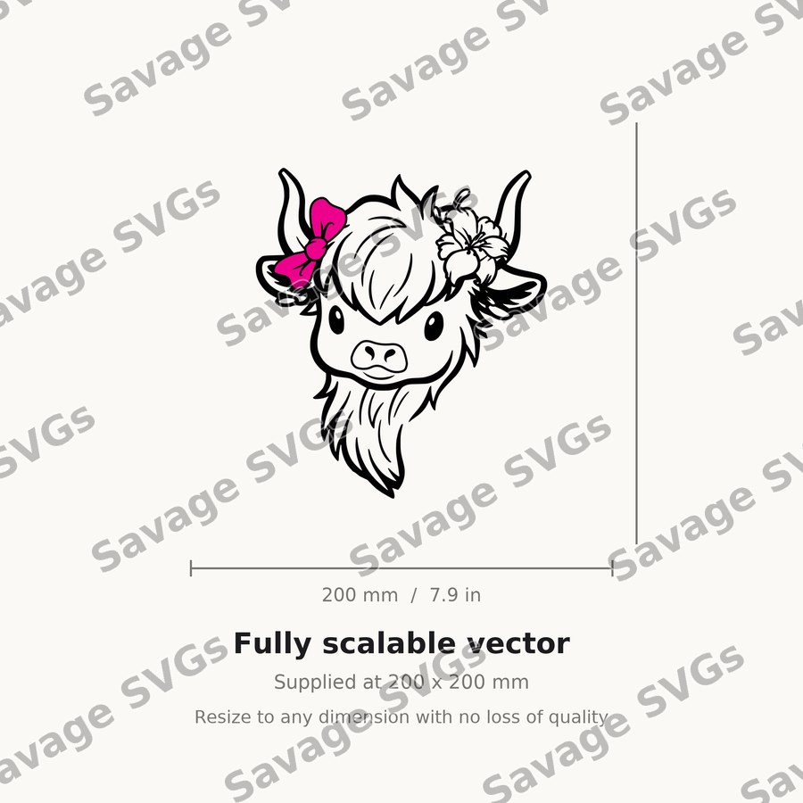 Cute Highland Cow