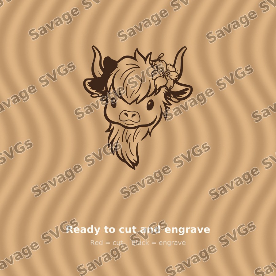 Cute Highland Cow