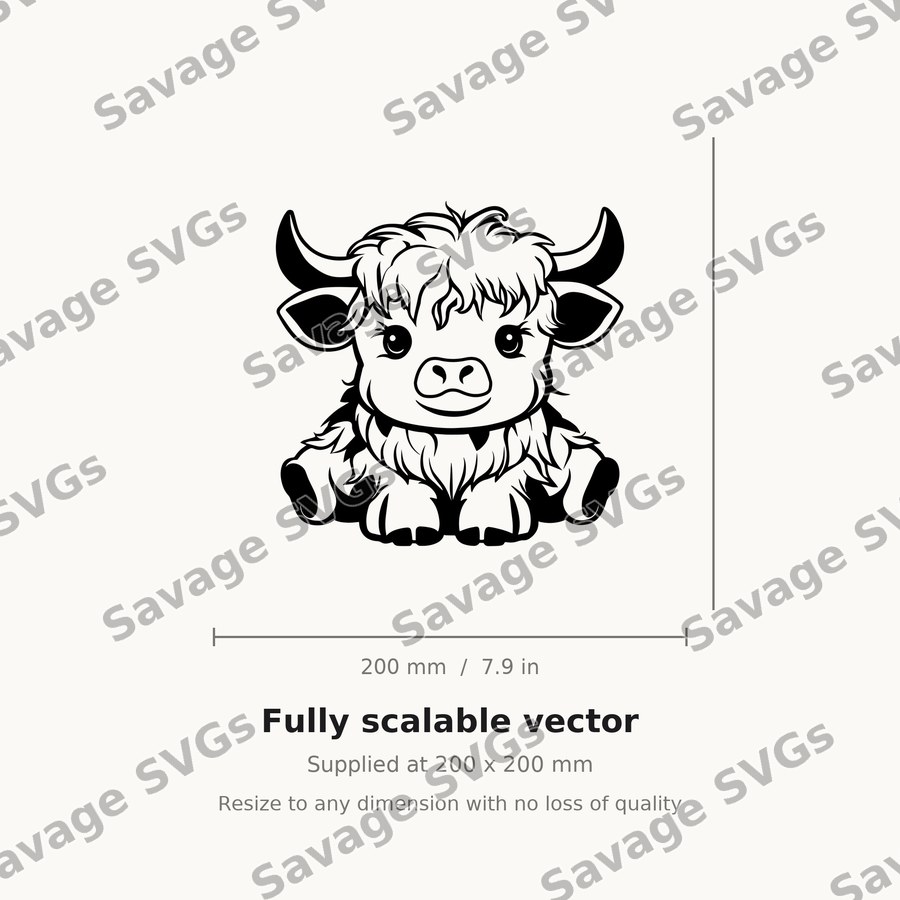 Cute Highland Cow