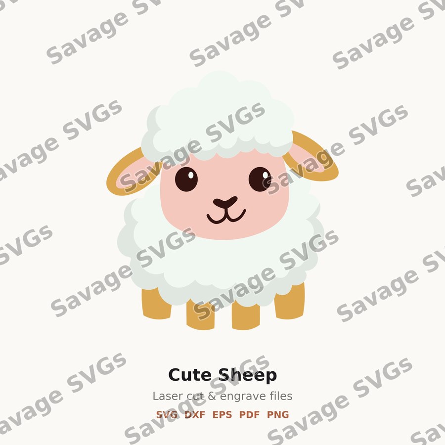 Cute Sheep