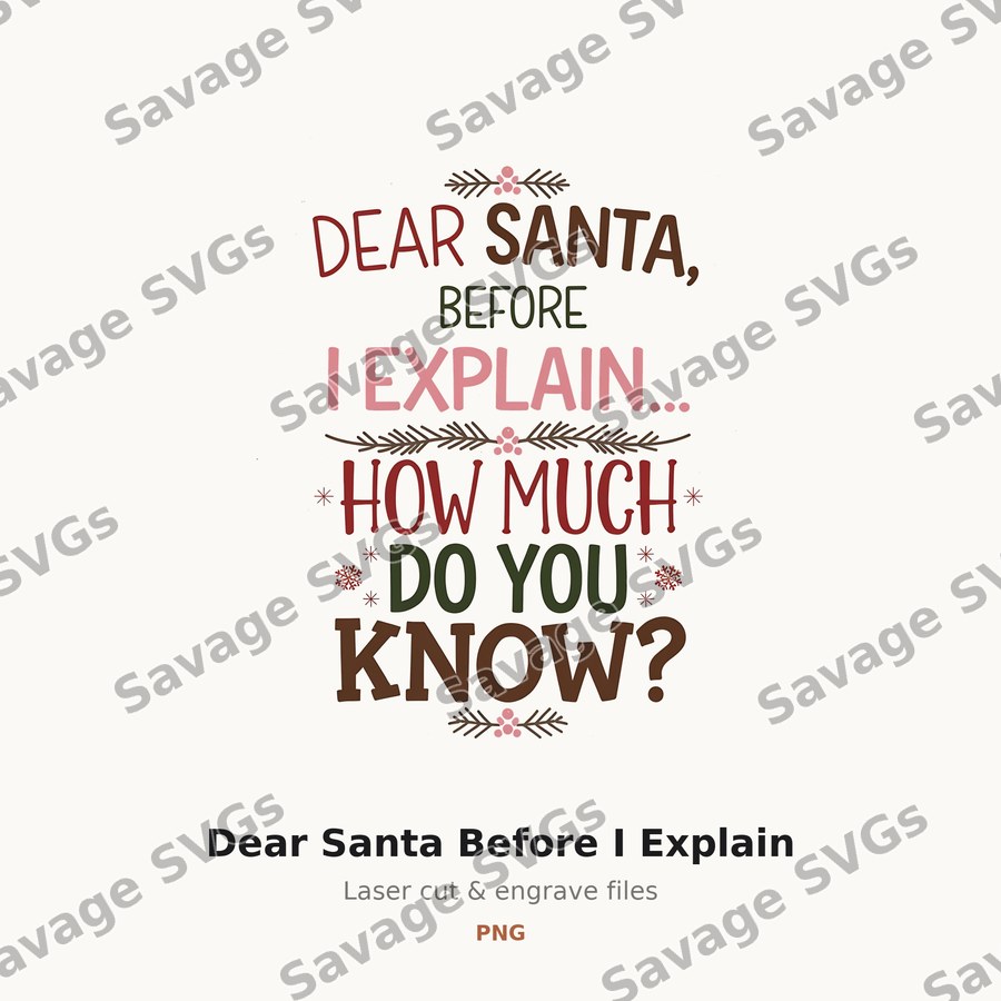 Dear Santa Before I Explain