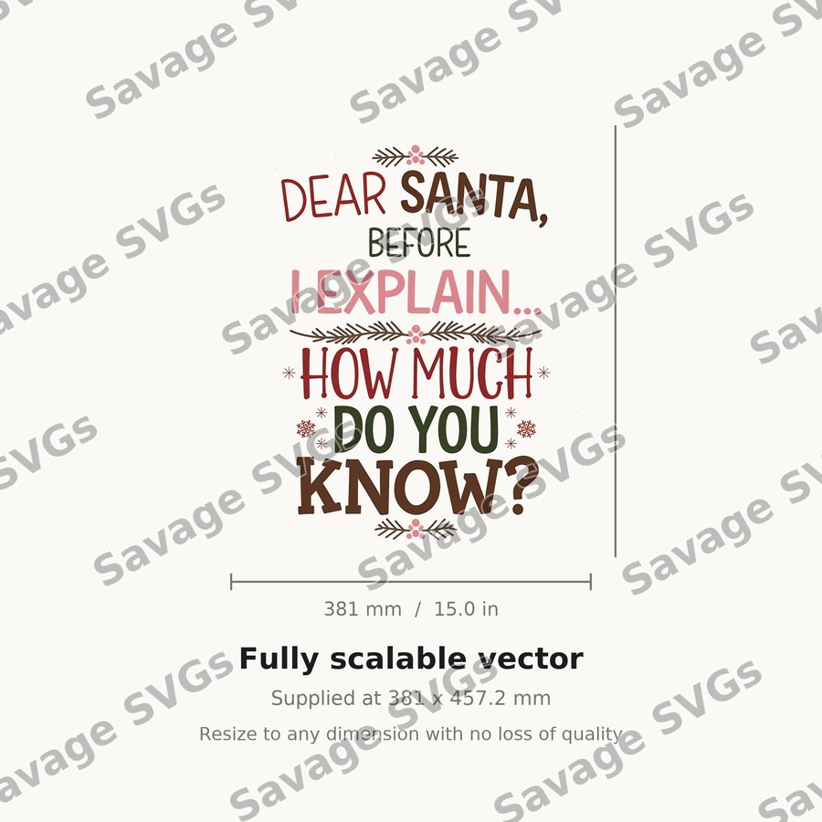 Dear Santa Before I Explain