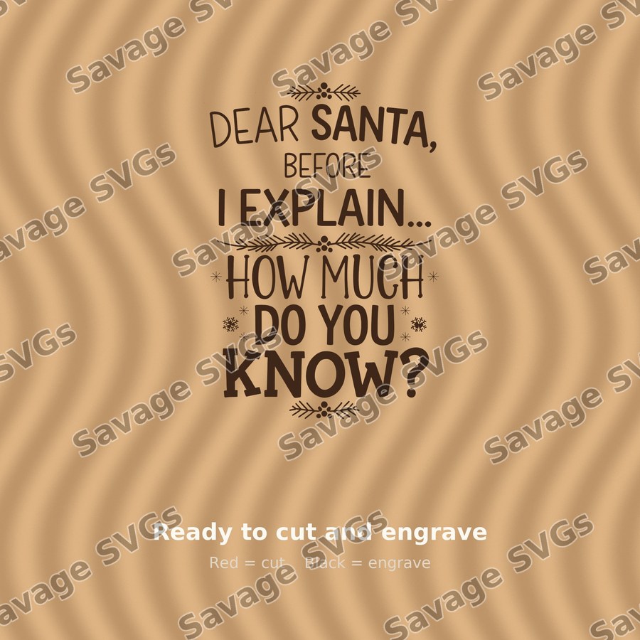 Dear Santa Before I Explain