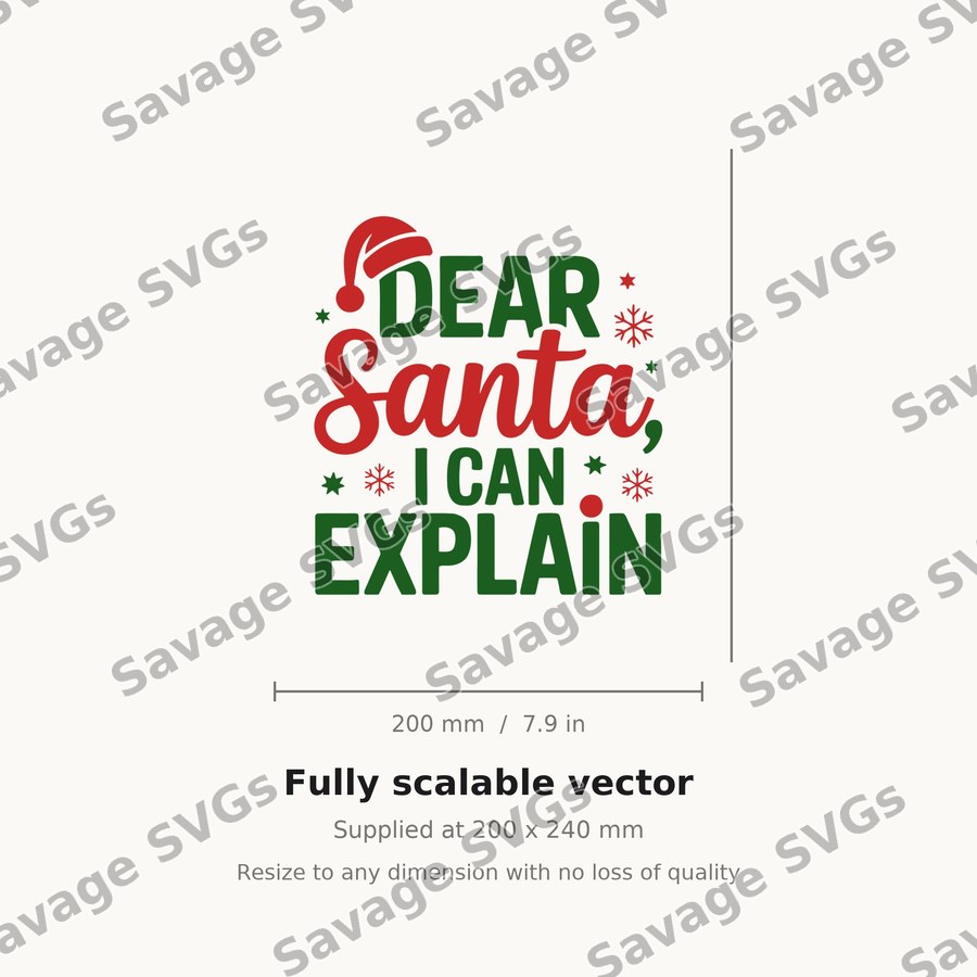 Dear Santa I Can Explain