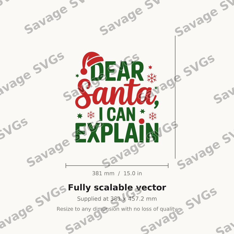 Dear Santa I Can Explain