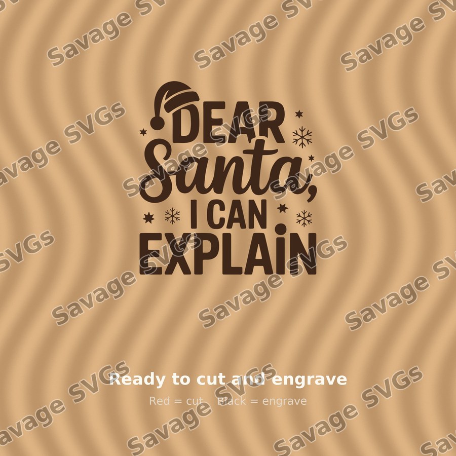 Dear Santa I Can Explain
