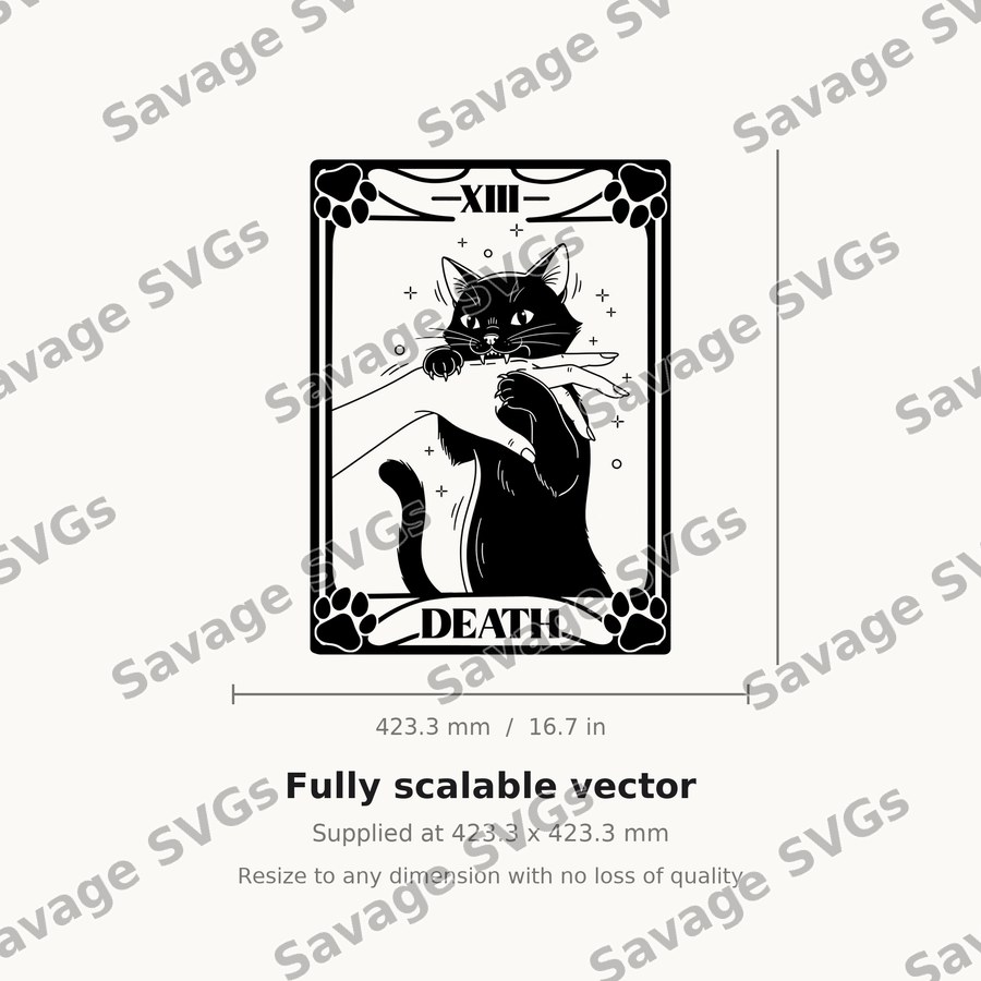Death Tarot Cat