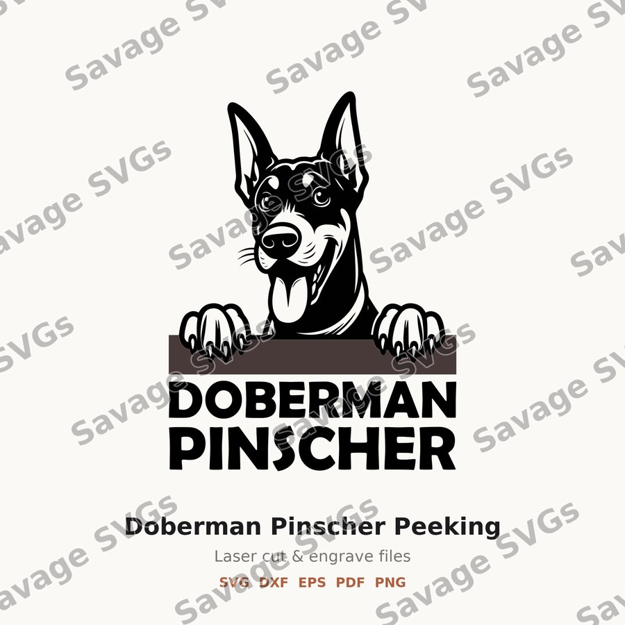 Doberman Pinscher Peeking