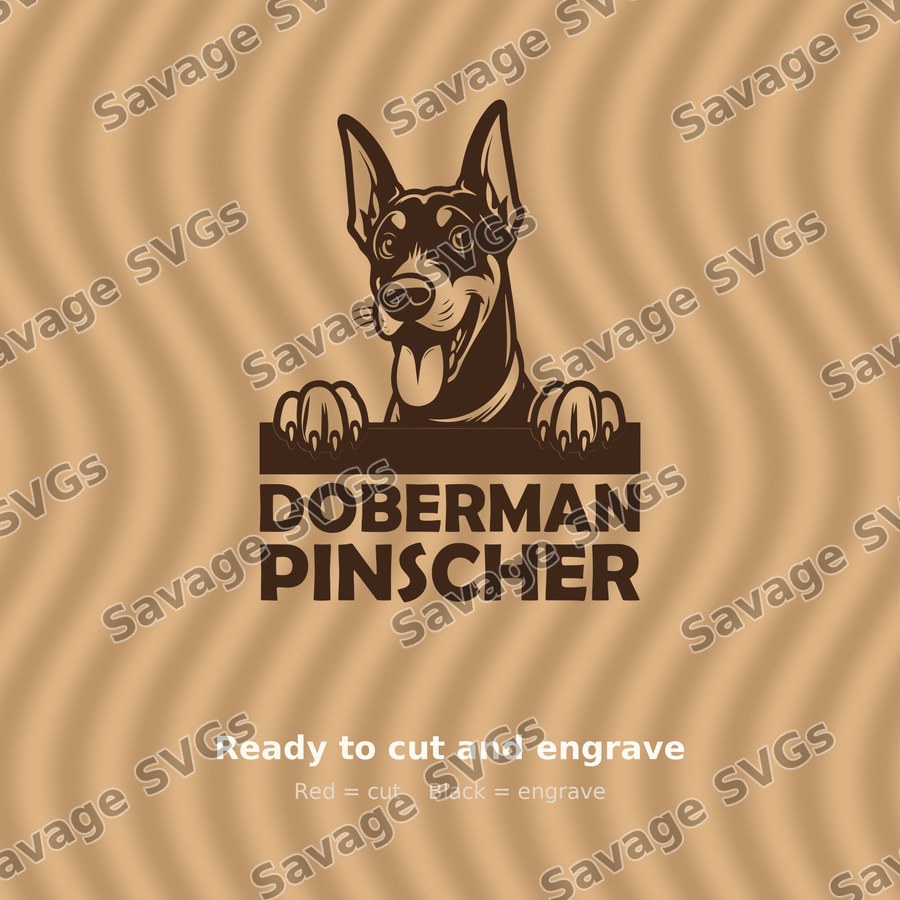 Doberman Pinscher Peeking