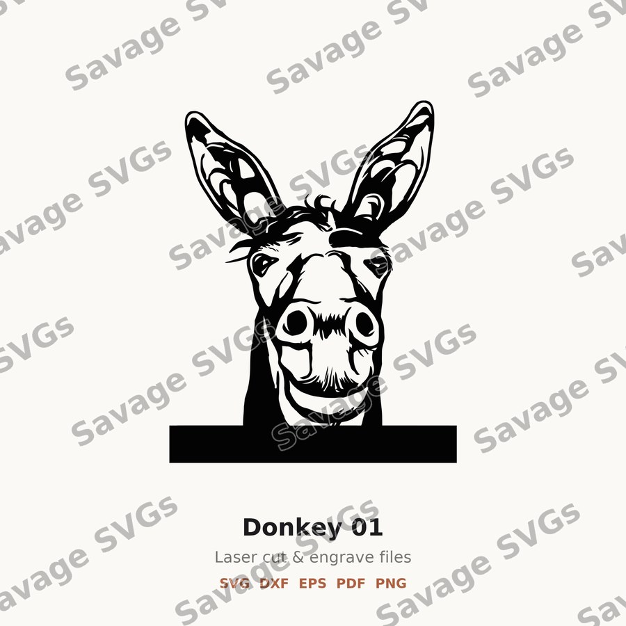 Donkey 01
