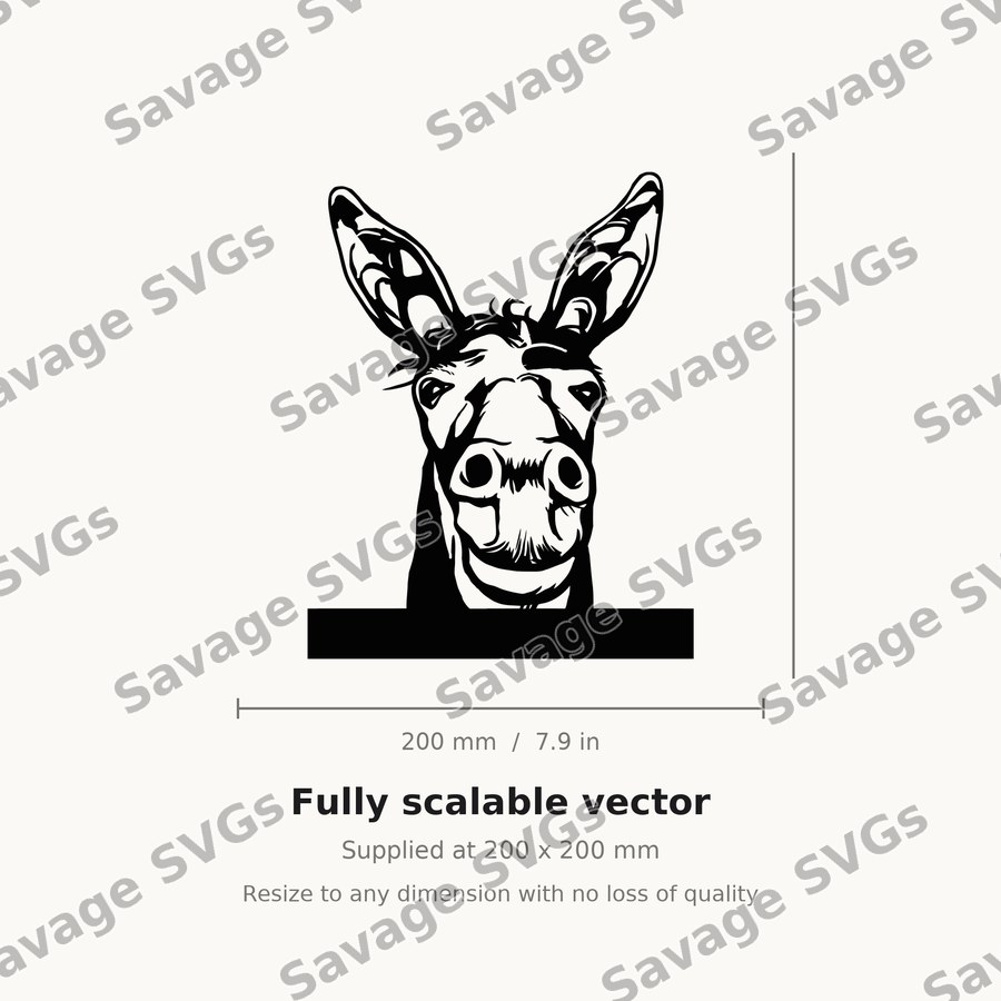 Donkey 01
