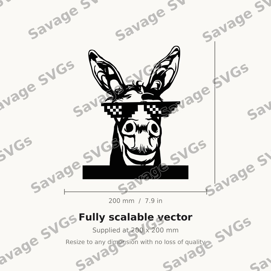 Donkey 01