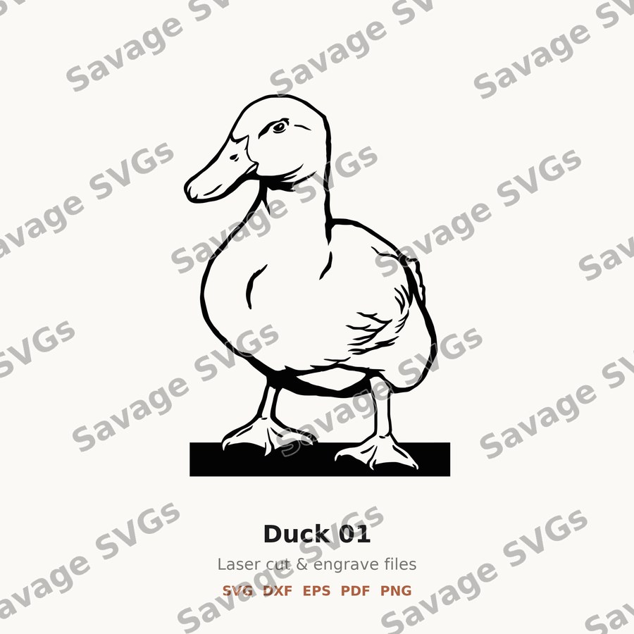 Duck 01