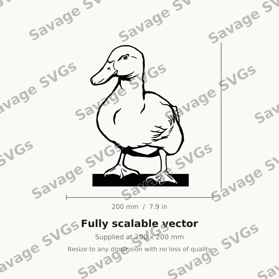 Duck 01