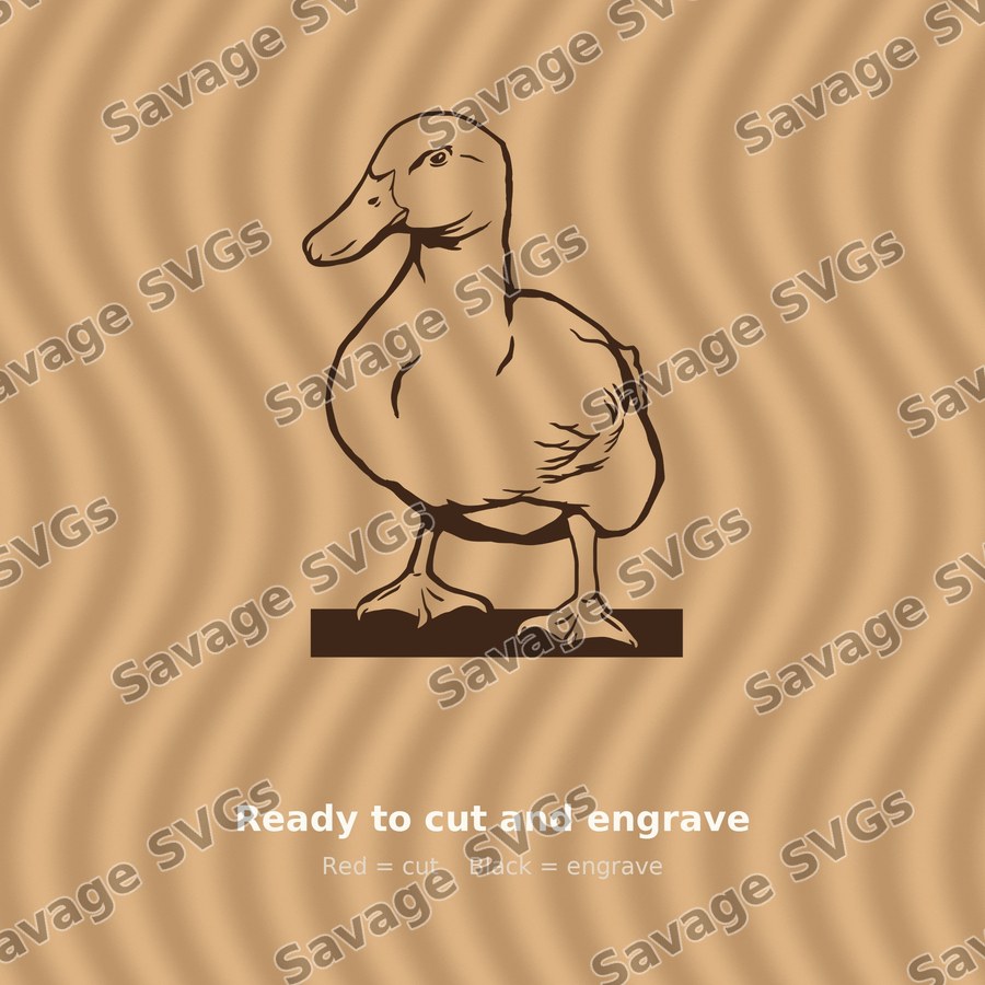 Duck 01